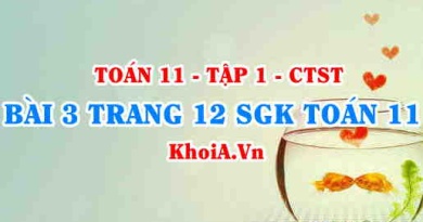 Bài 3 trang 12 SGK Toán 11 Tập 1 Chân trời sáng tạo
